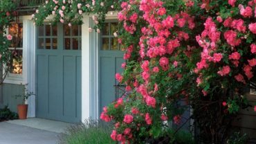 nên trồng cây gì trước cổng nhà