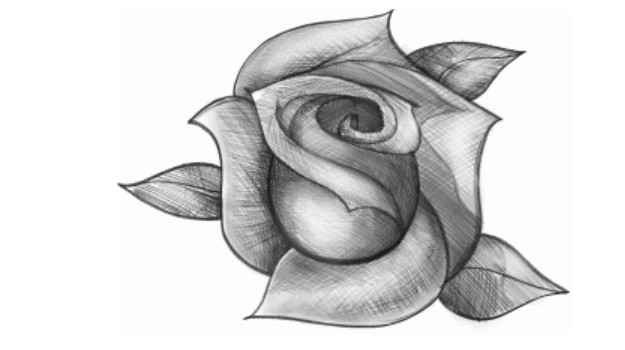 Vẽ hoa hồng đơn giản theo 2 cách vnHowvn