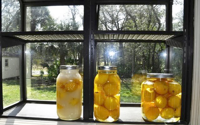 cách làm chanh muối ngon đơn giản tại nhà