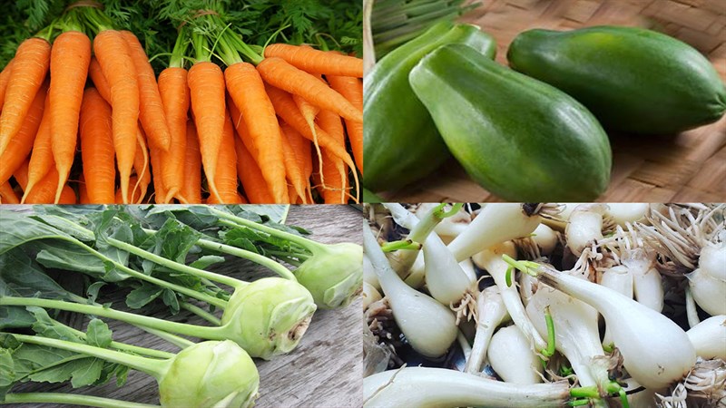 nguyên liệu làm dưa món